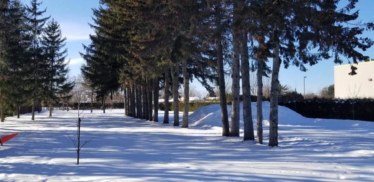 Maisonnette Dans La Nature En Pleine Ville. Trois-Rivières Εξωτερικό φωτογραφία