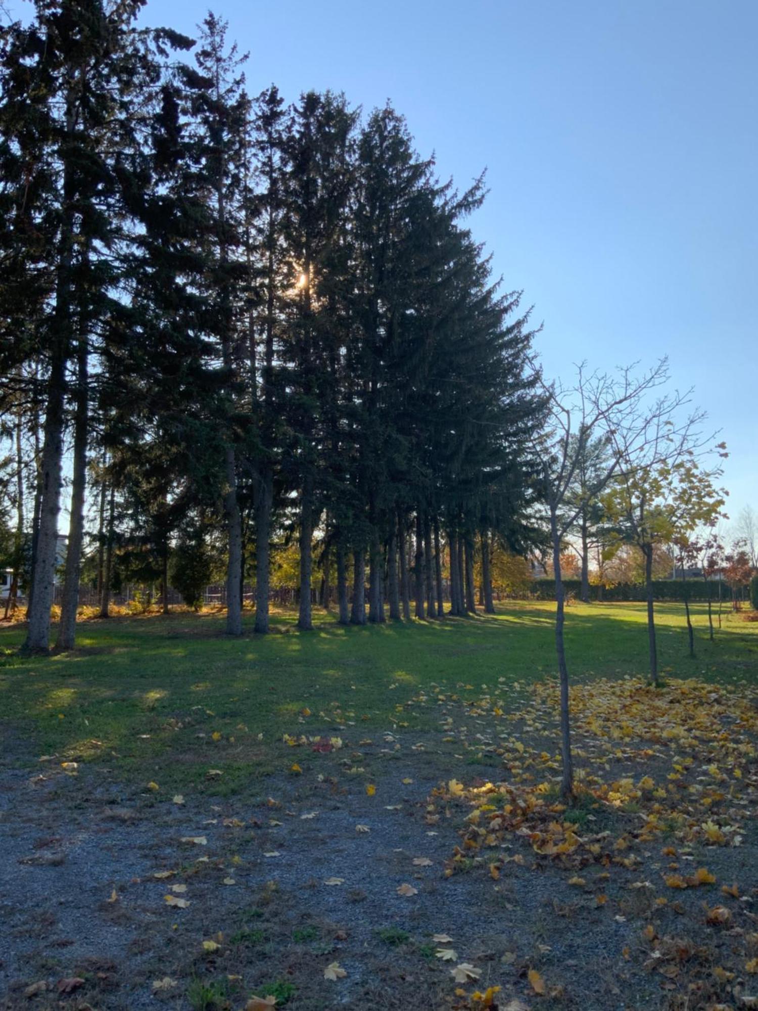 Maisonnette Dans La Nature En Pleine Ville. Trois-Rivières Εξωτερικό φωτογραφία