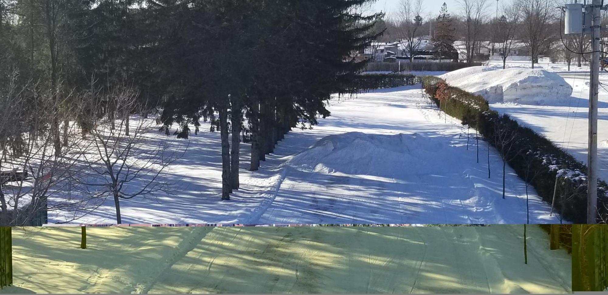 Maisonnette Dans La Nature En Pleine Ville. Trois-Rivières Εξωτερικό φωτογραφία